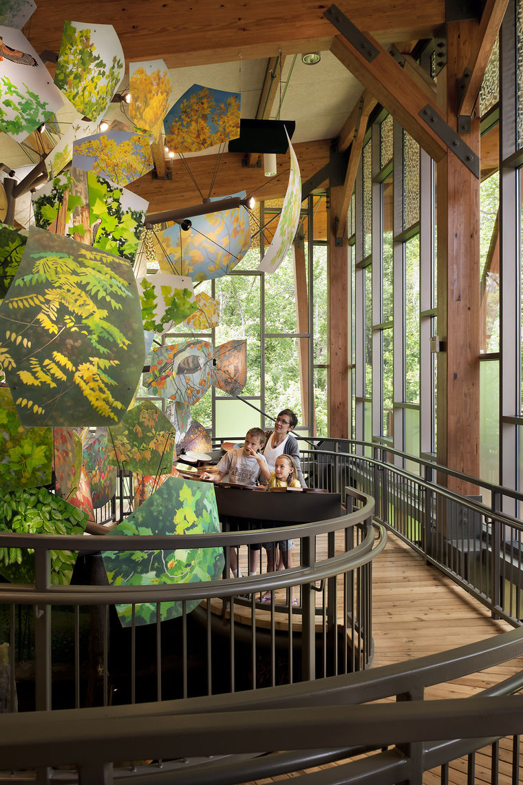 The “Life of the Forest” exhibit at the Robinson Nature Center begins in the forest’s vibrant summer canopy, and takes visitors on a journey through all four seasons, showing a full year of change in the forest.